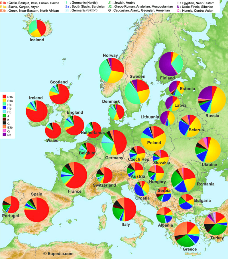 Zbadaj swoje pochodzenie - haplogrupy w Polsce